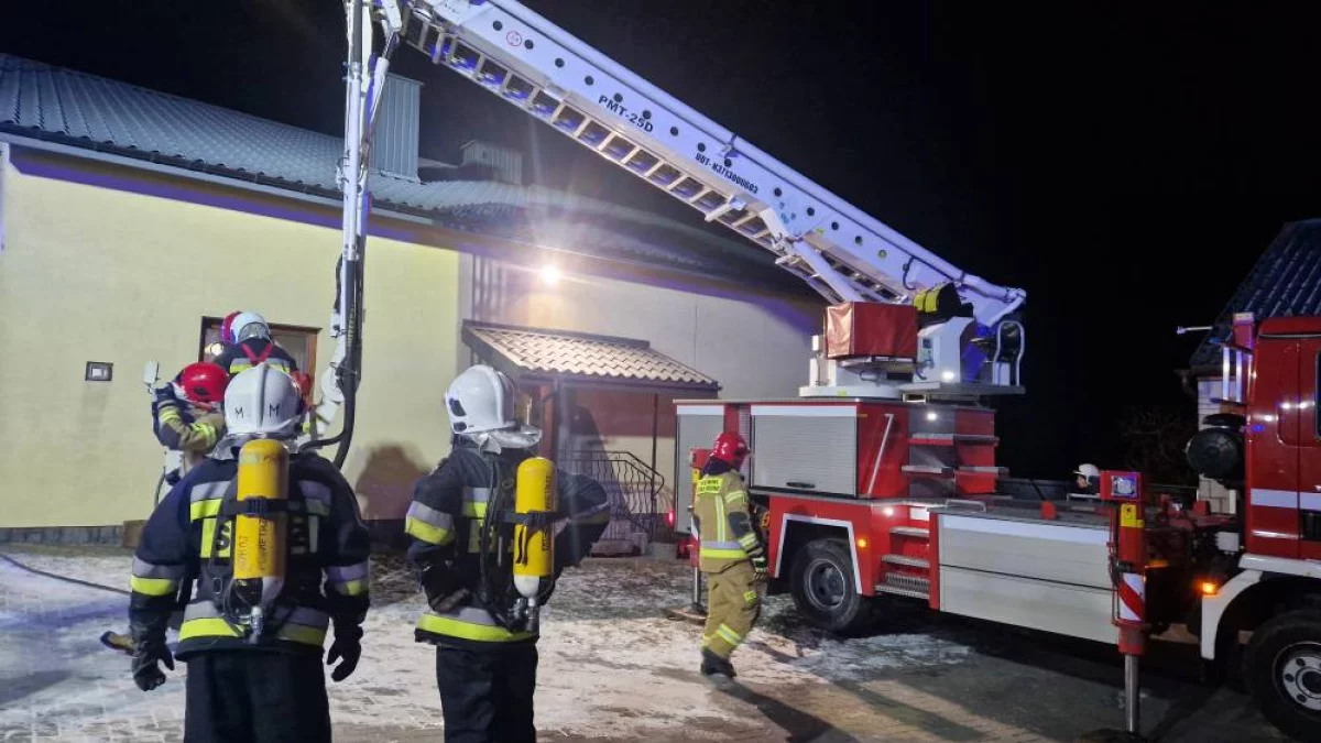 Pożary na Ziemi Biłgorajskiej. Alarm w dwóch gminach (foto) - Zdjęcie główne