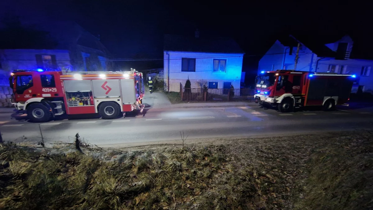 Niebezpiecznie na Ziemi Biłgorajskiej. Seria pożarów w trzech gminach! (foto) - Zdjęcie główne