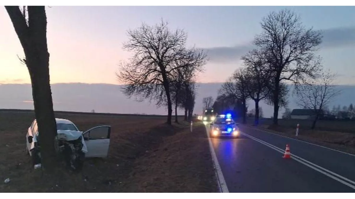 Niebezpiecznie na Ziemi Biłgorajskiej. Interweniowało LPR - Zdjęcie główne