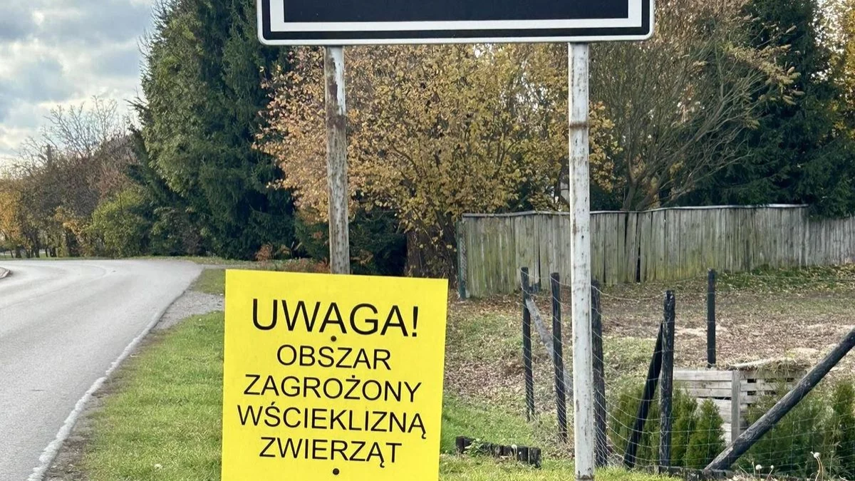 Ziemia Biłgorajska zagrożona wścieklizną.  Które miejscowości? - Zdjęcie główne