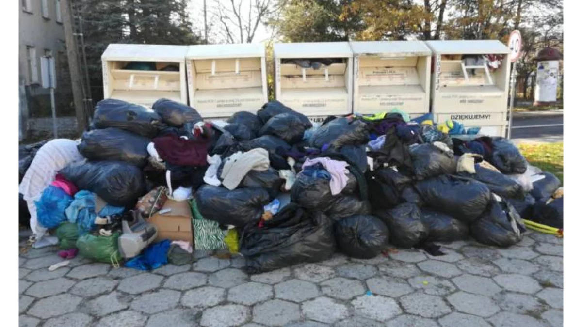 Plaga w powiecie biłgorajskim!  Kto podrzuca odpady ? - Zdjęcie główne