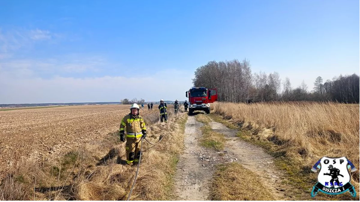 Niebezpiecznie na Ziemi Biłgorajskiej. Pożary w trzech gminach! (foto) - Zdjęcie główne