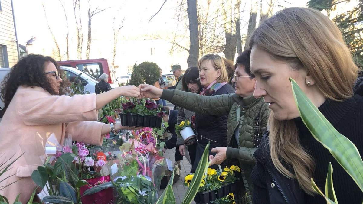 Piękną  kwotę zebrali podczas kiermaszu kwiatów. Co dalej? - Zdjęcie główne