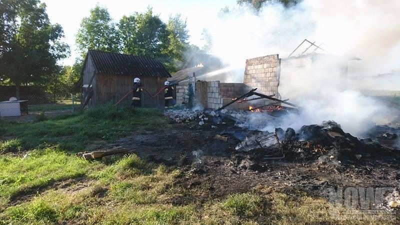 50 tysięcy poszło z dymem - Zdjęcie główne