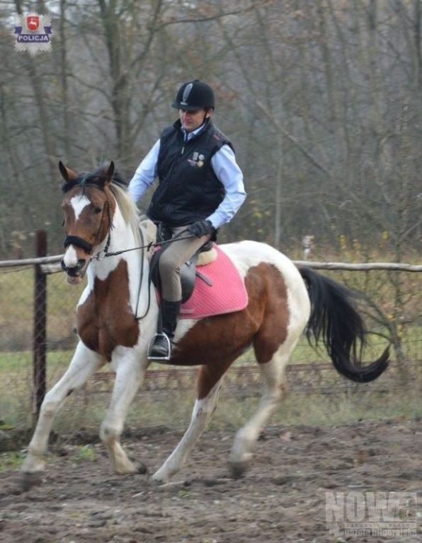 Policjant z pasją - Zdjęcie główne