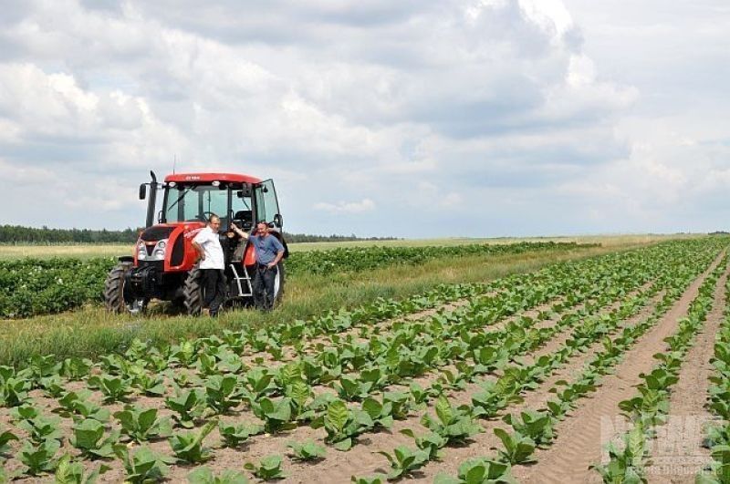 Prezes KRUS apeluje do rolników - Zdjęcie główne