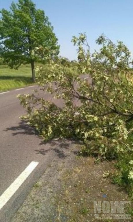 Tornado na Lubelszczyźnie - Zdjęcie główne