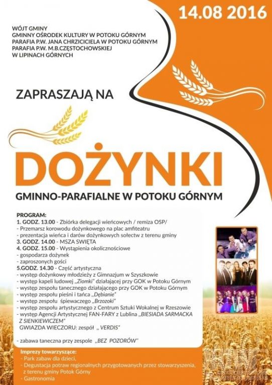 Dożynki Gminno-Parafialne w Potoku Górnym - Zdjęcie główne