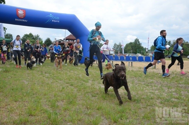 Lubelski Dogtrekking "Łapa na Szlaku" Mistrzostwa Biłgoraja 2016 - Zdjęcie główne