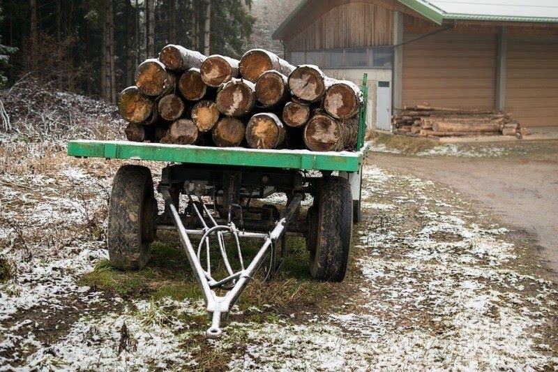 Dłużyca zabiła 86-latka - Zdjęcie główne