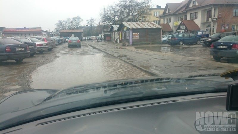 Przyjechała wieś do miasta, a w mieście... gorzej niż na wsi - Zdjęcie główne