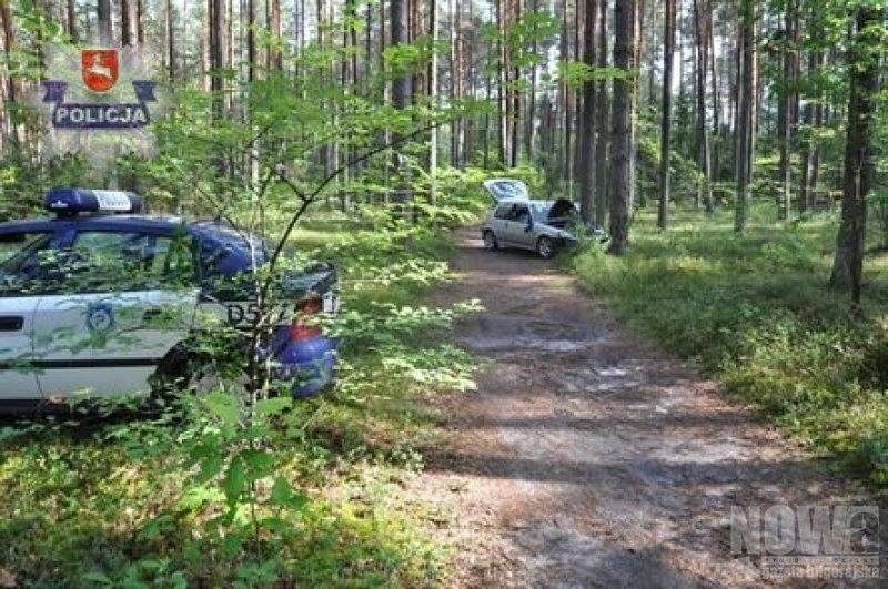 Zasnęli w lesie - Zdjęcie główne