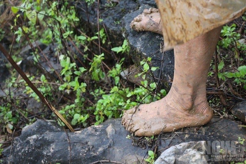 Rozebrał się do naga i biegał po polach - Zdjęcie główne