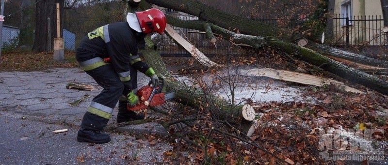 Wiało i lało, strażacy nie próżnowali - Zdjęcie główne