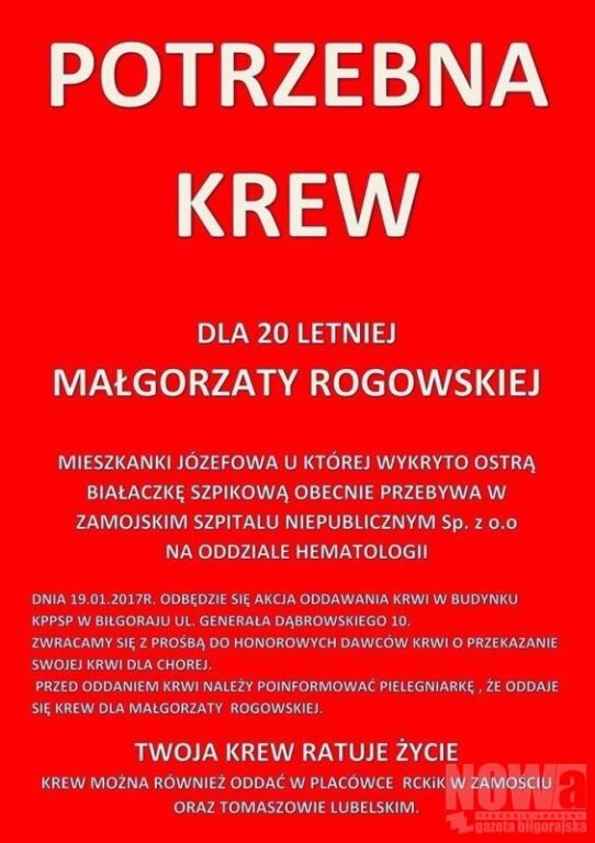 Podziel się krwią. Pomóż 20-latce w walce z białaczką - Zdjęcie główne