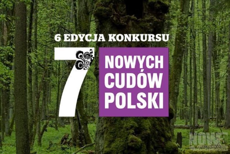 Szumy nowym cudem Polski! - Zdjęcie główne