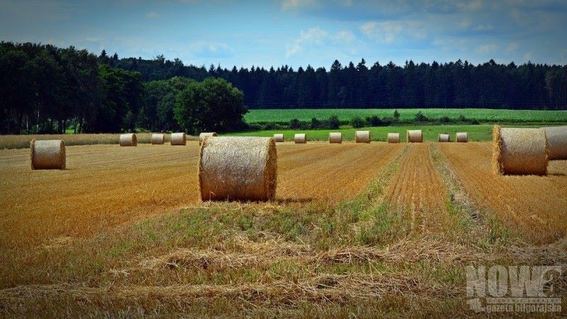 Rolniku, będą zmiany w dopłatach! - Zdjęcie główne