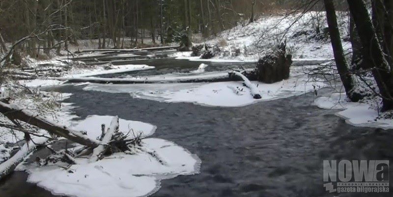 Szumy na Tanwią w zimowej oprawie (VIDEO) - Zdjęcie główne