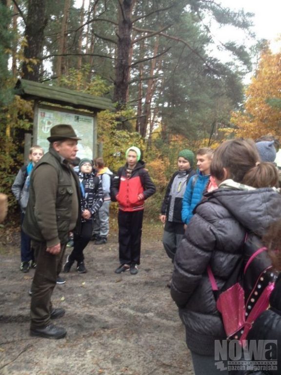 Jesienne barwy na Roztoczu - Zdjęcie główne