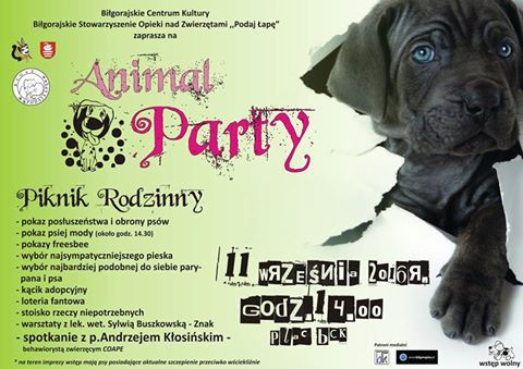 Zapraszamy na Animal Party - Zdjęcie główne