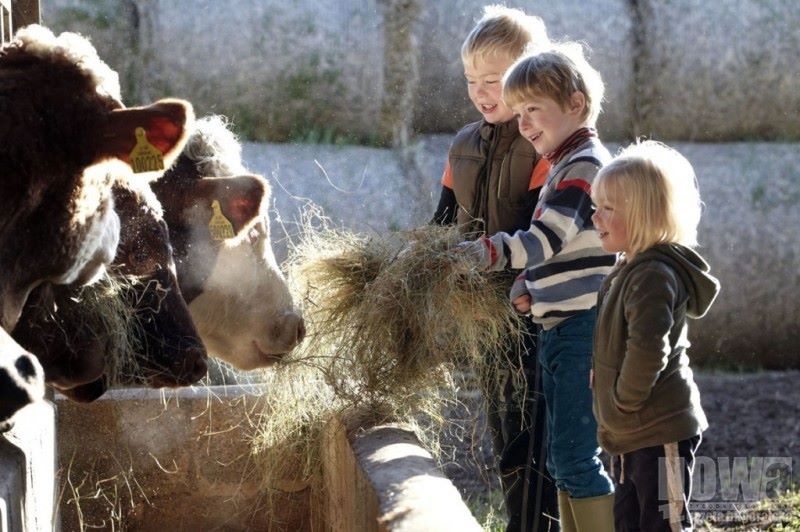 Dzieci rolników też ubezpieczone - Zdjęcie główne