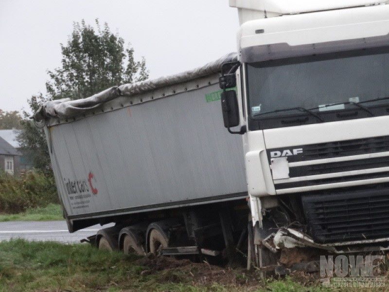 Sarna na drodze, tir w rowie - Zdjęcie główne