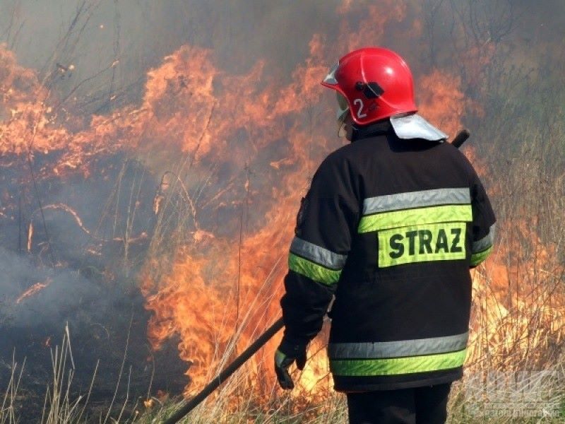 Pechowa sobota - Zdjęcie główne