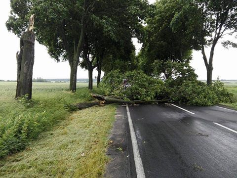 Uwaga na burze - Zdjęcie główne