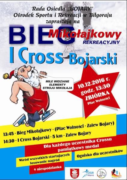 I Cross Bojarski - Zdjęcie główne