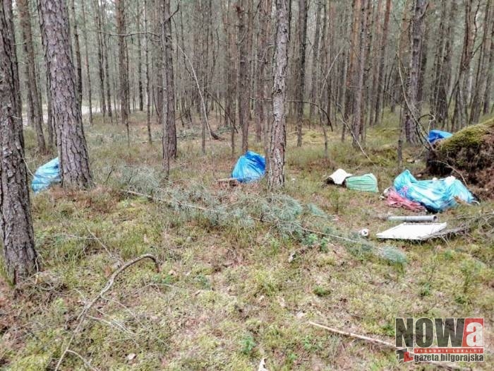 Apel do mieszkańców Biłgoraja i okolic - Zdjęcie główne