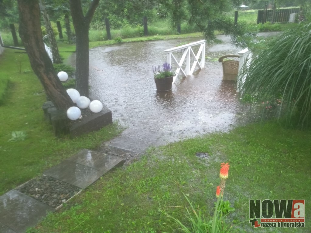 Podziękowania od mieszkanki - Zdjęcie główne