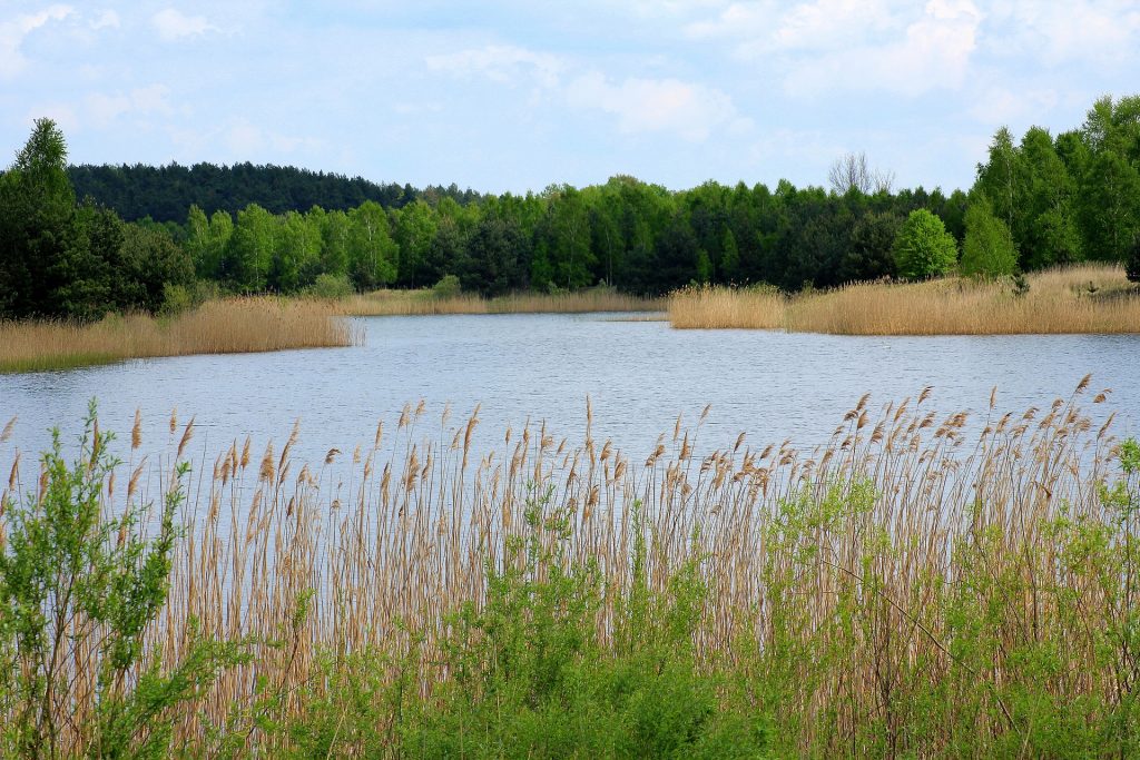 Chcą budować zbiornik wodny - Zdjęcie główne