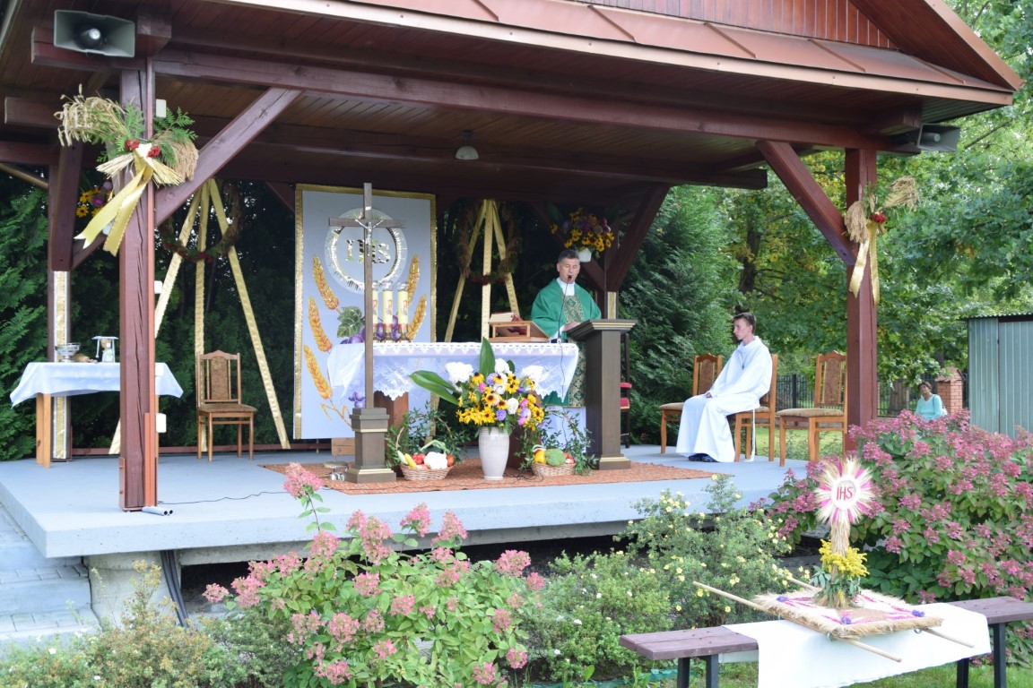 Tarnogrodzkie dożynki - Zdjęcie główne