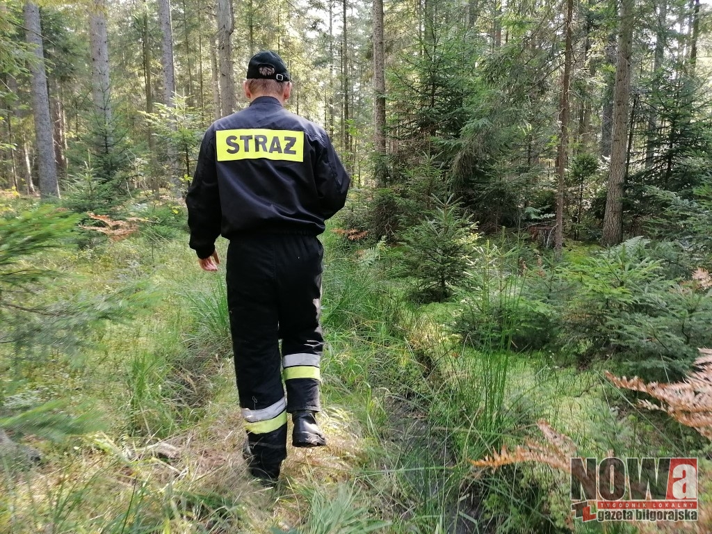 Pożar i kolizja w Łukowej - Zdjęcie główne