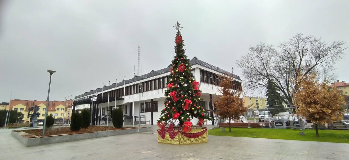 Przed Urzędem miasta stanęła choinka - Zdjęcie główne