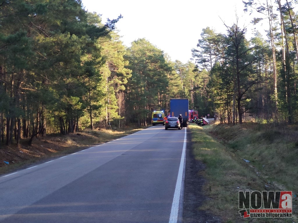 Czołowe zderzenie między Smólskiem a Biłgorajem - Zdjęcie główne