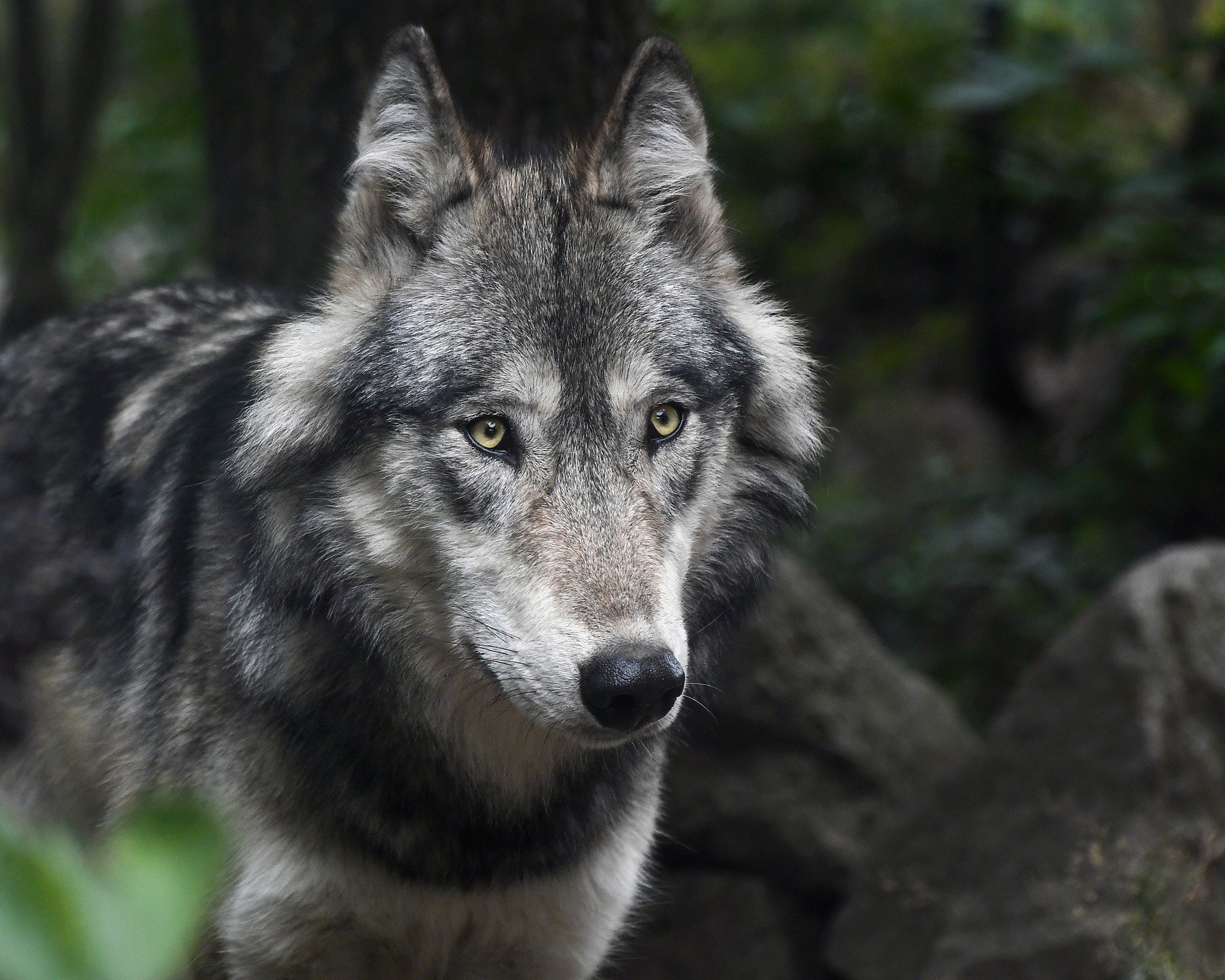 Mężczyźnie grozi 5 lat pozbawienia wolności - Zdjęcie główne