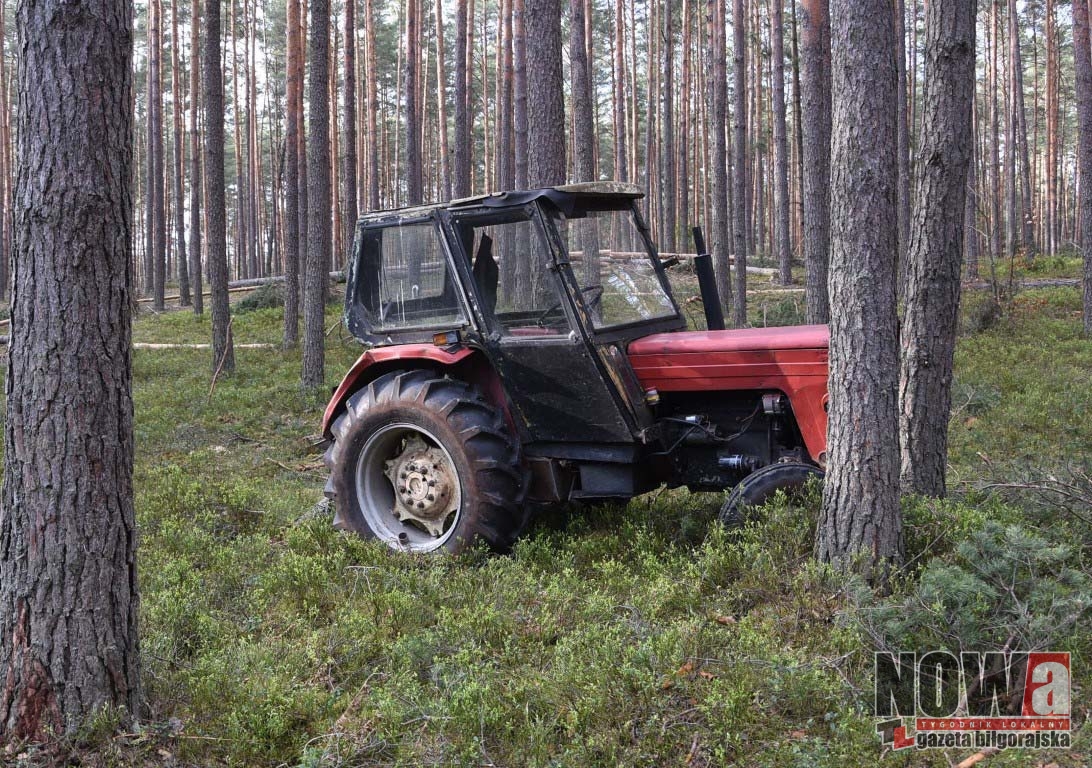 Nieszczęśliwy wypadek w lesie - Zdjęcie główne