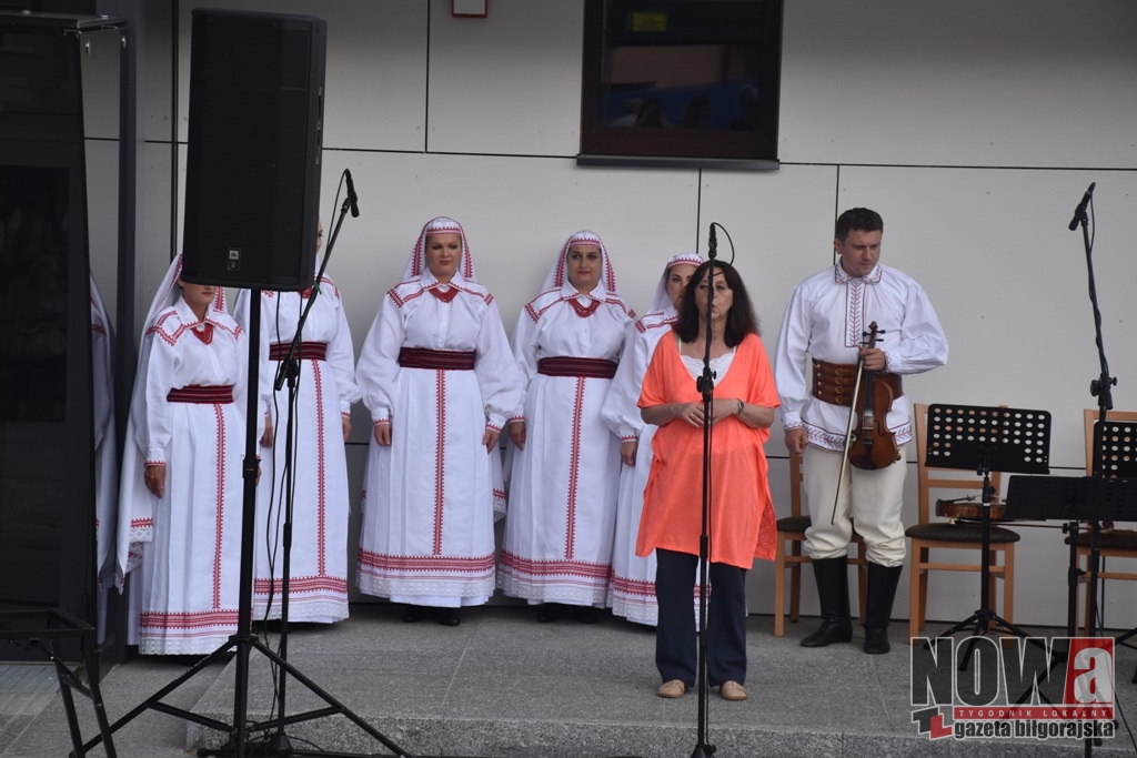 Barwy regionów - Zdjęcie główne