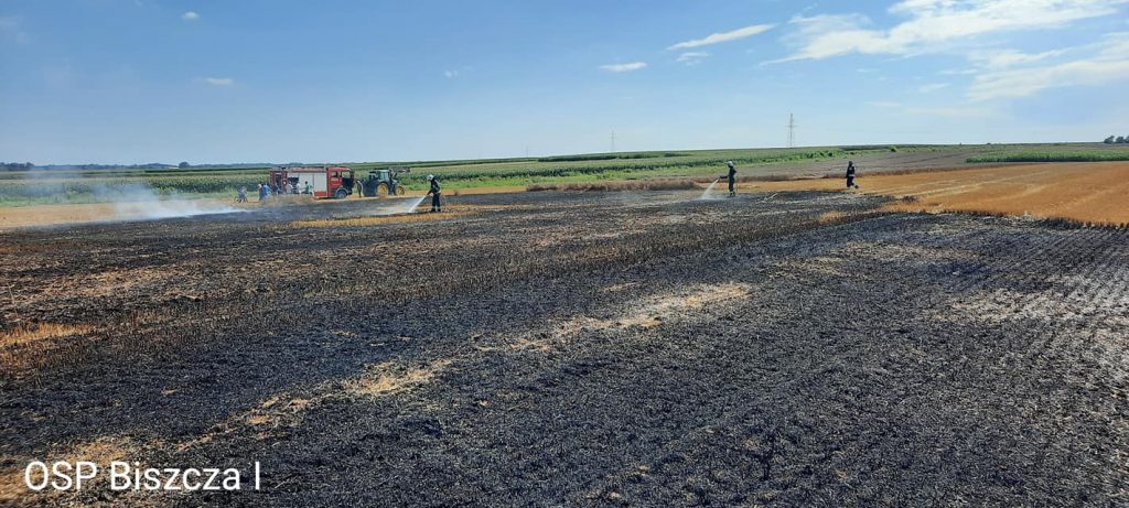 Pożar pola w Księżpolu - Zdjęcie główne