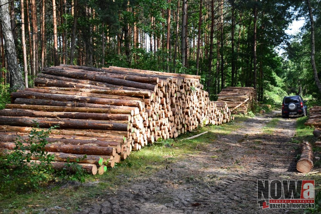 Nadleśnictwo walczy ze skutkami nawałnic - Zdjęcie główne