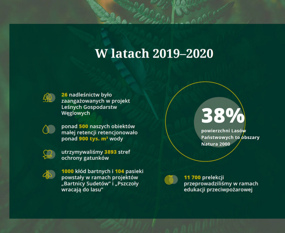 Społeczna odpowiedzialność Lasów Państwowych – środowisko - Zdjęcie główne