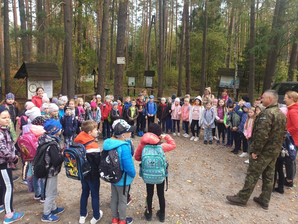 Jak zachować się w lesie? - Zdjęcie główne