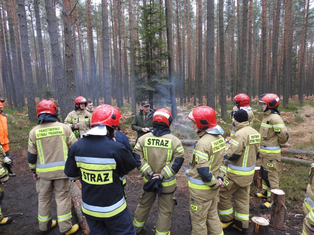 Strażacy WSP w biłgorajskich lasach - Zdjęcie główne