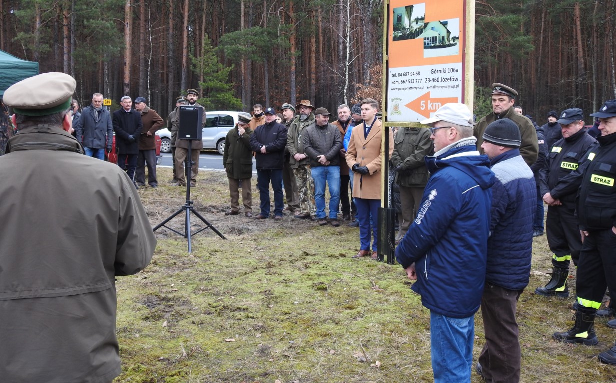 Lasy Państwowe współpracują z samorządami - Zdjęcie główne