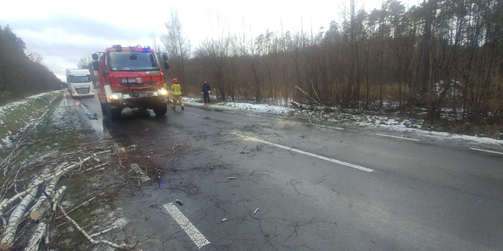 Wichura szalała nad powiatem. Wyrządziła liczne straty - Zdjęcie główne