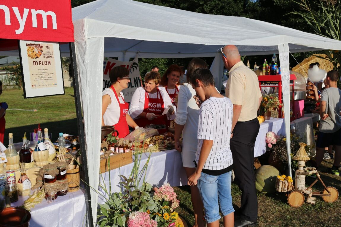 W co zainwestują mieszkańcy gminy Tarnogród? - Zdjęcie główne