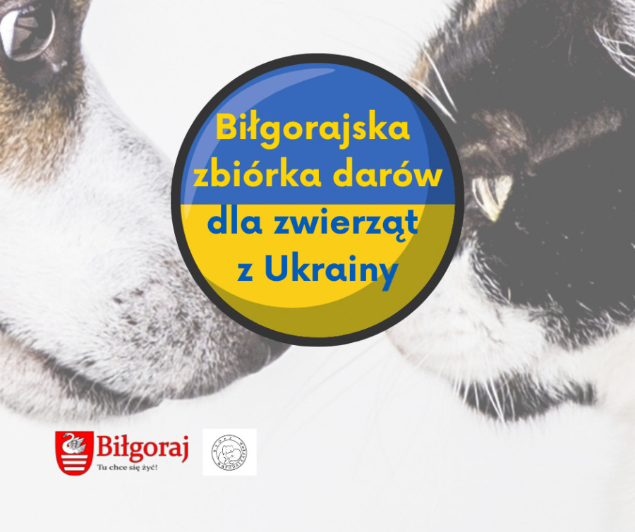 Ratują również zwierzęta na Ukrainie - Zdjęcie główne