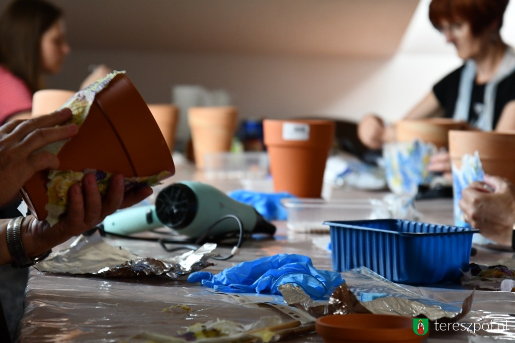 Tereszpol znów zadziwia. Można? - Zdjęcie główne