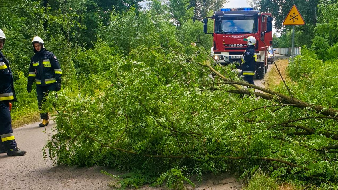 Burza w powiecie biłgorajskim. Lawina interwencji i połamane drzewa - Zdjęcie główne